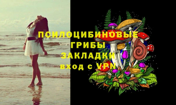 Альфа ПВП Армянск