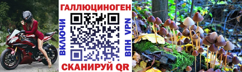 Галлюциногенные грибы мицелий  Кемь 